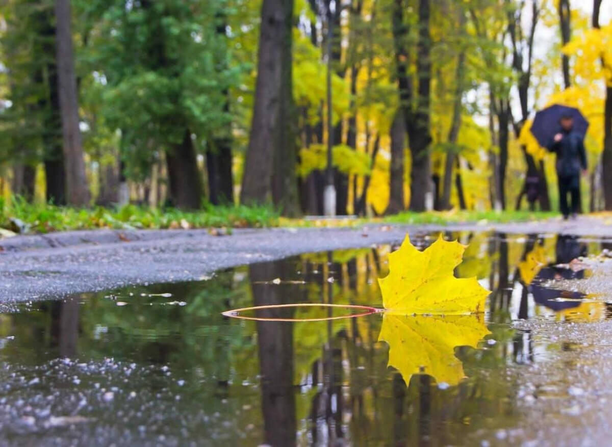 Дожди часто осенью. Октябрь природа дождь. Осень сентябрь дождь. Ранняя осень сентябрь дожди. Сентябрь дождь осенью.