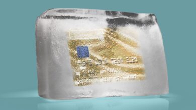 Фото: privetpiter.ru