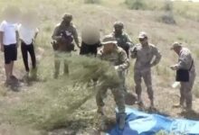 Жамбыл облысында 24 келіден астам марихуананың заңсыз айналымына тосқауыл — «Қарасора – 2026»