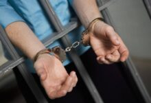 ІІМ Шымкентте 4 млрд теңгеден астам шығын келтірген алаяқтық күдіктісін ұстады