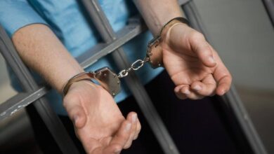 ІІМ Шымкентте 4 млрд теңгеден астам шығын келтірген алаяқтық күдіктісін ұстады